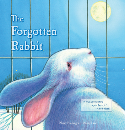 The Forgotten Rabbit by Nancy Furstinger
