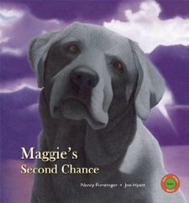 Maggie's Second Chance by Nancy Furstinger
