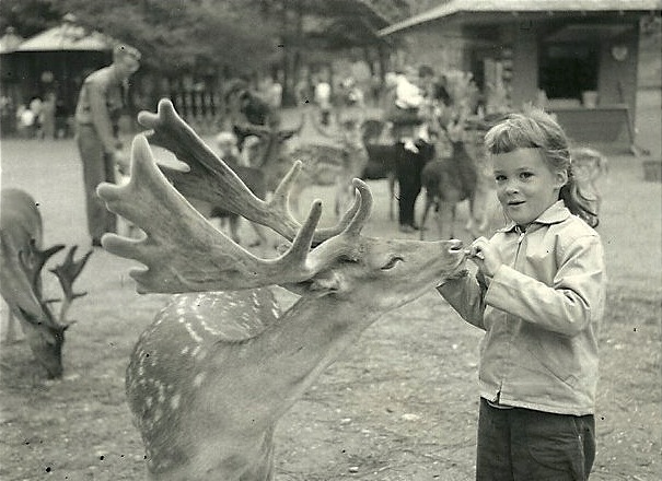 Nancy Furstinger, age 7, with reindeer friends at the Catskill Game Farm