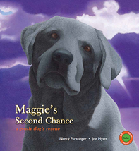 Maggie's Second Chance by Nancy Furstinger